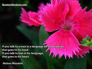 nelson_mandela_quotes Quotes 1